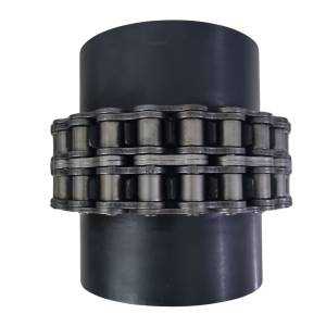 Chain Coupling Manufacturers in Patan